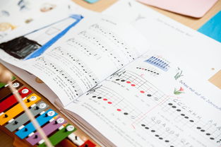 mk体育官网登录-中小学体育教师继续教育体系建设与实施研究，小学体育继续教育考试试题及答案